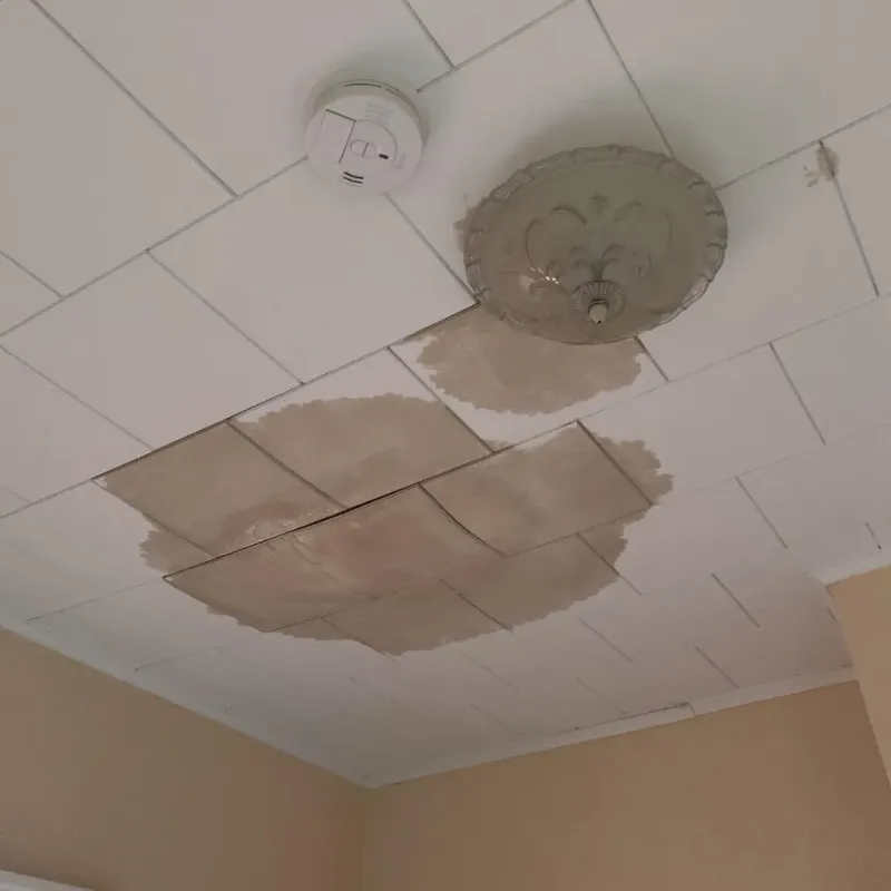 Ceiling Water Damage Repair in Holiday Valley, OH