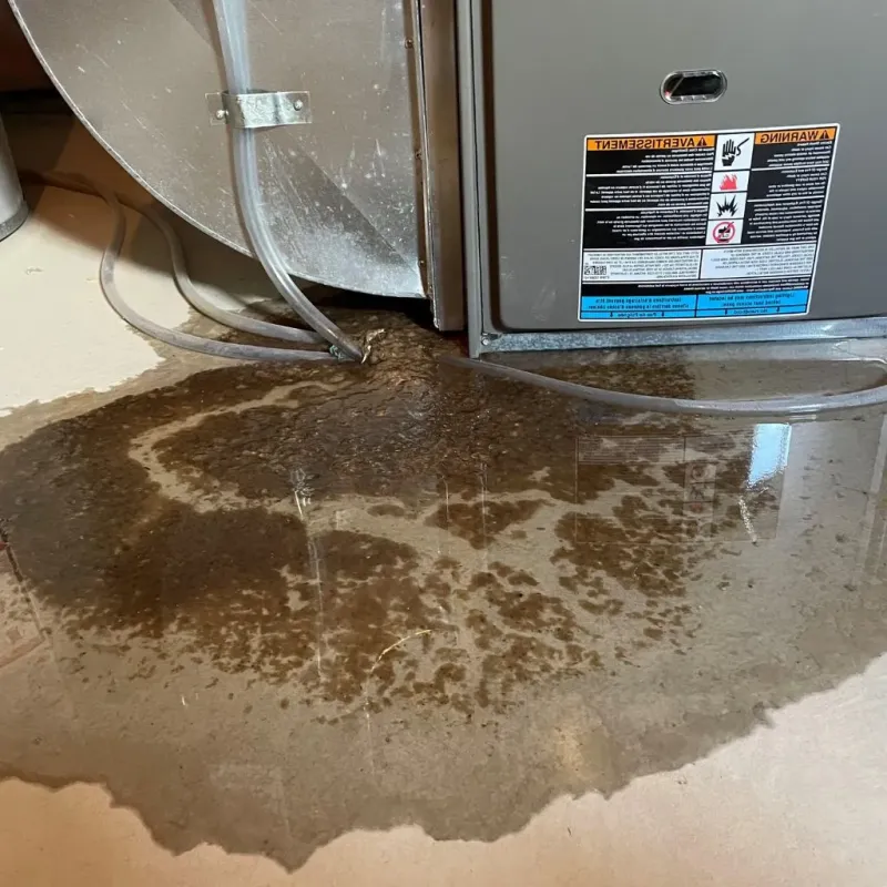 Pipe Burst and Leak Restoration in Holiday Valley, OH