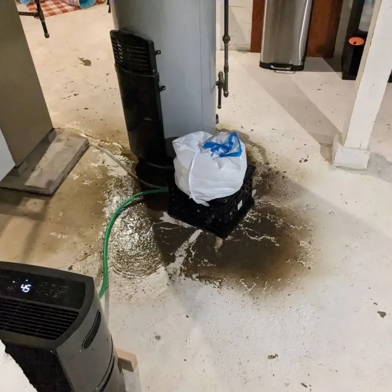 Sewage Backup Cleanup Service in Holiday Valley, OH